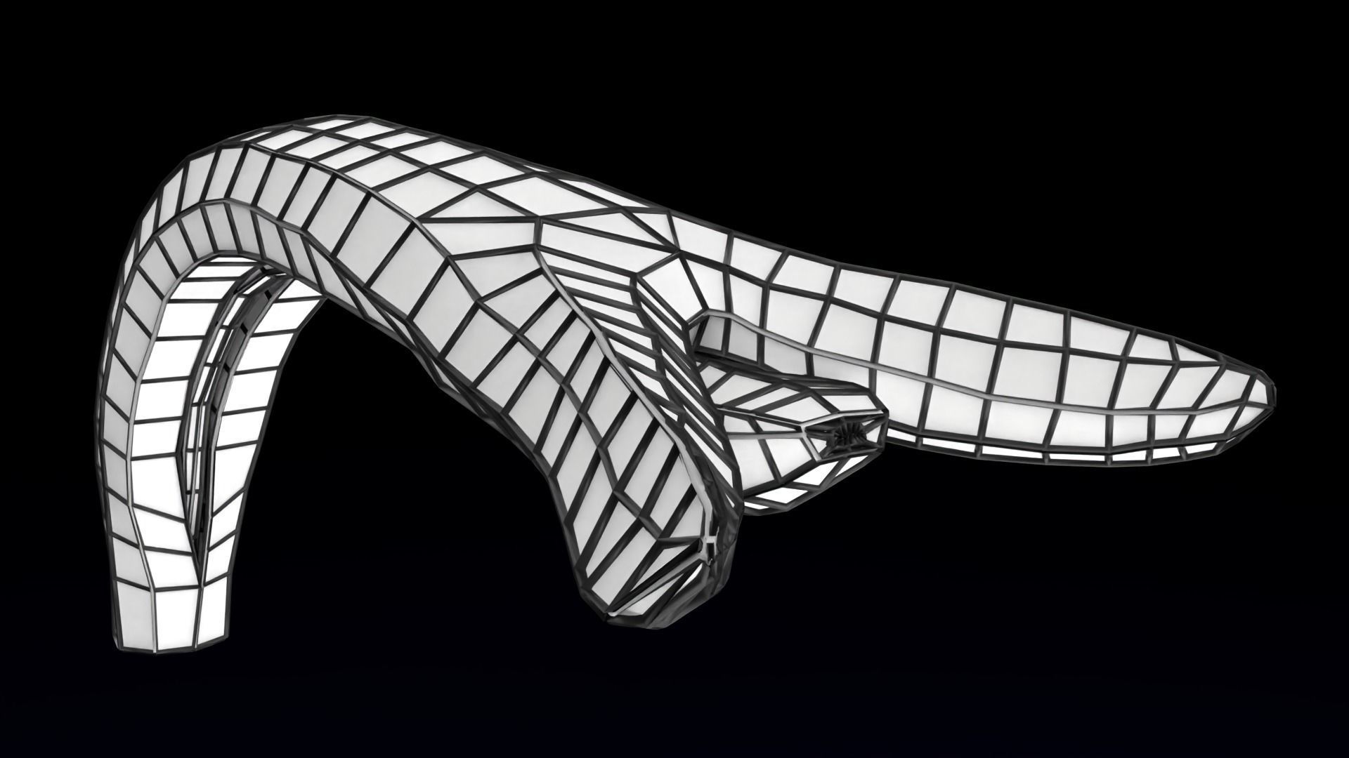 Penis complete anatomy histology layers cut section 3D model_47