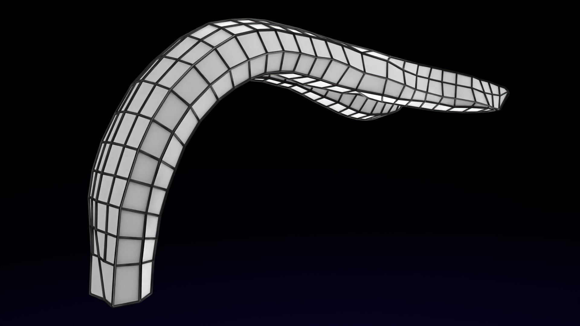 Penis complete anatomy histology layers cut section 3D model_41