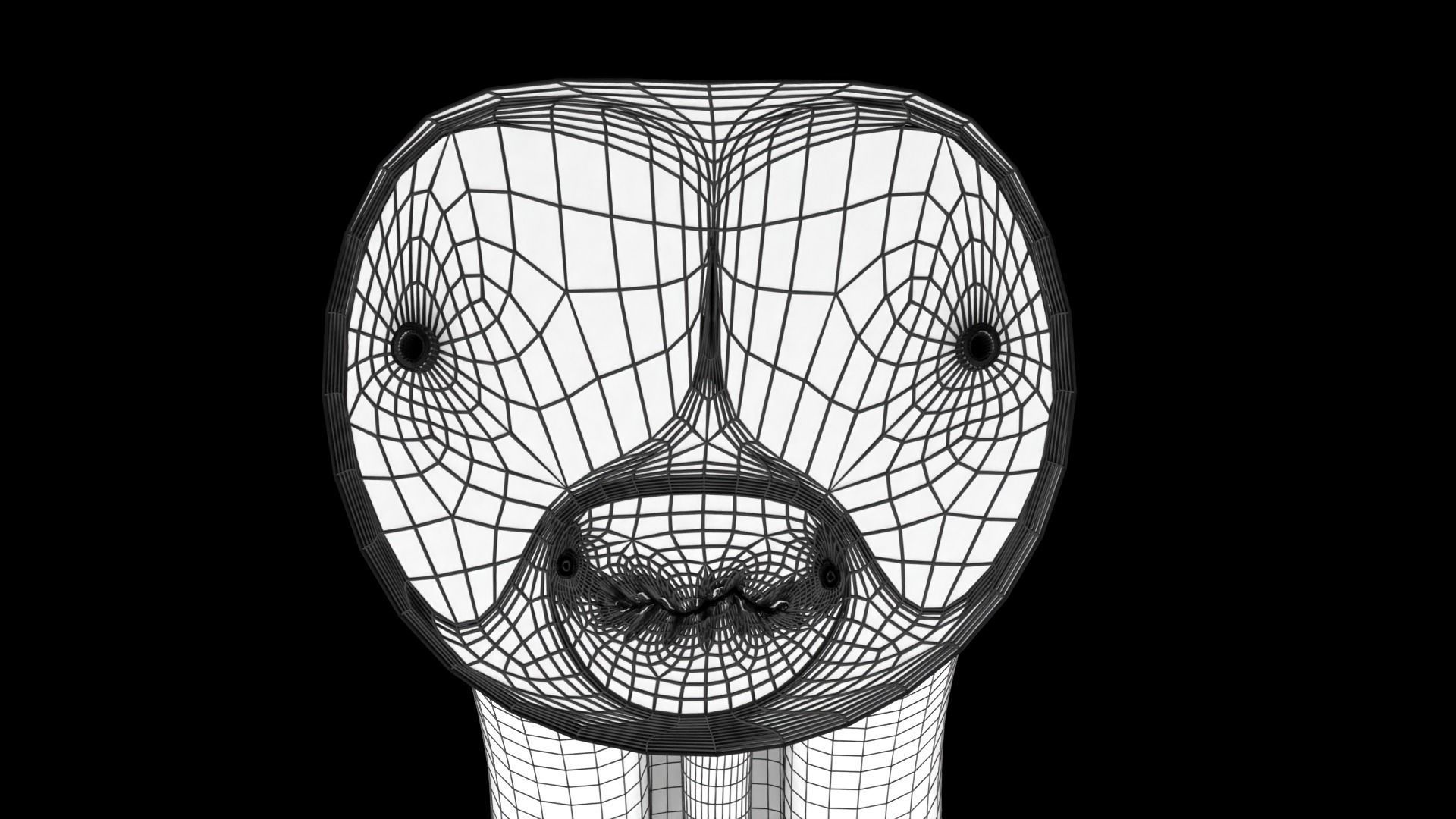 Penis complete anatomy histology layers cut section 3D model_49