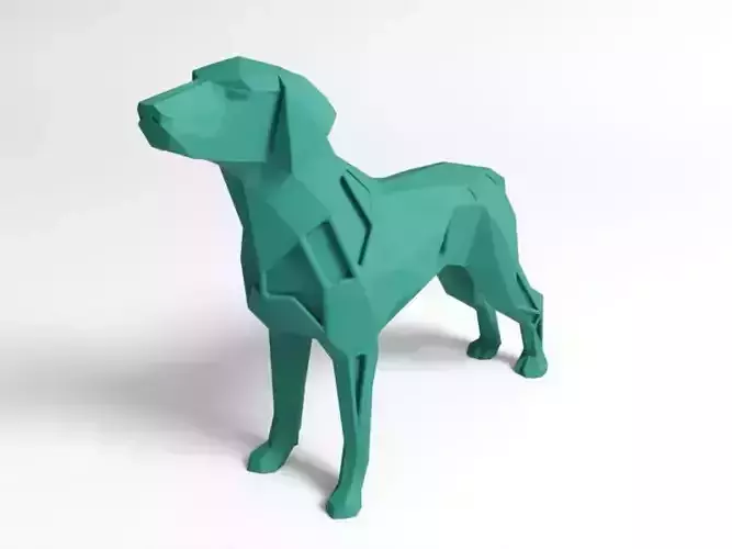 Polygon Boxer Great Dane