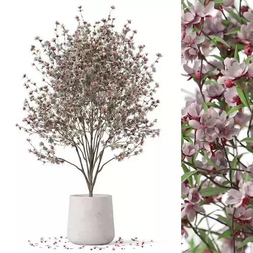 Plants collection 915 3D model