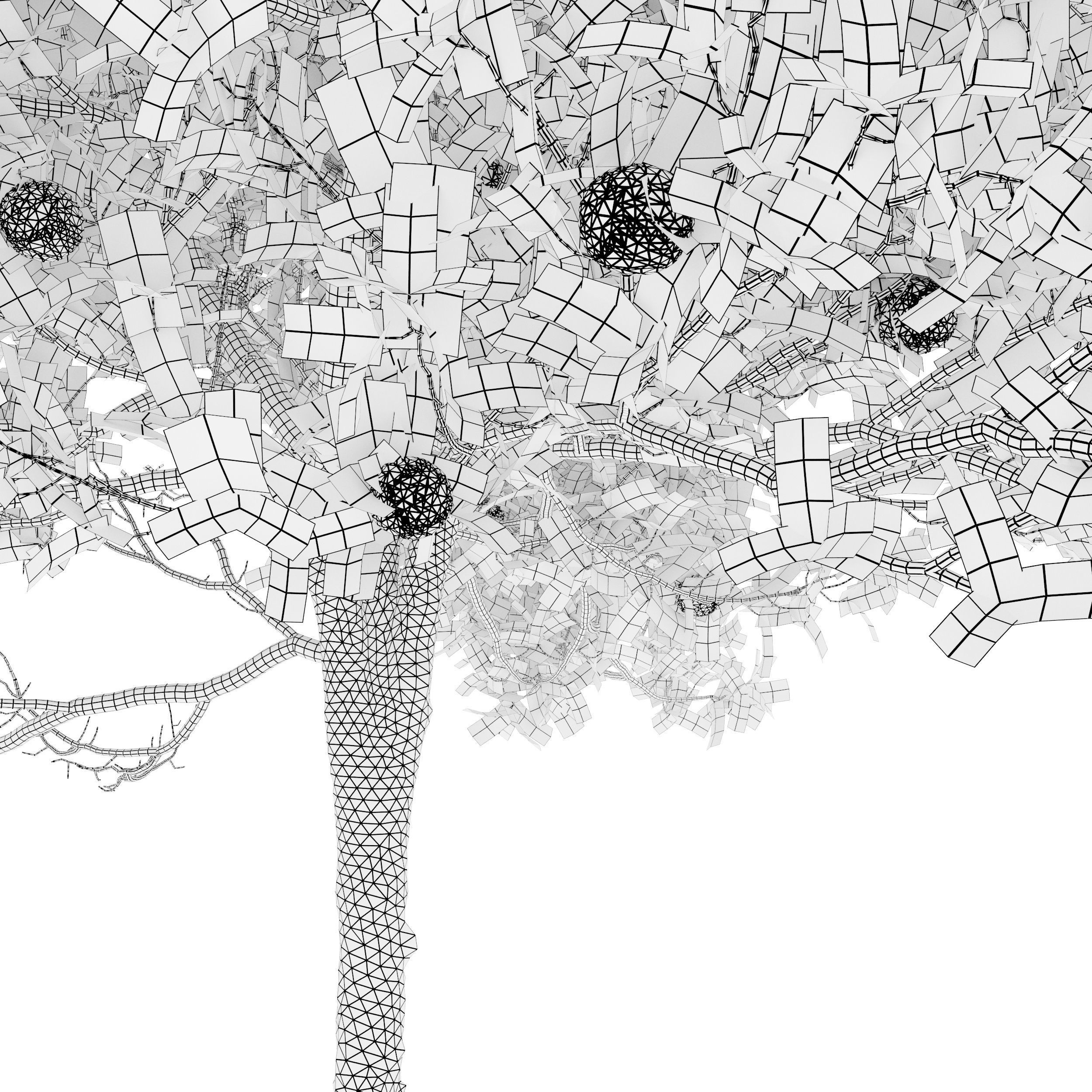 Orange tree 3D model_6