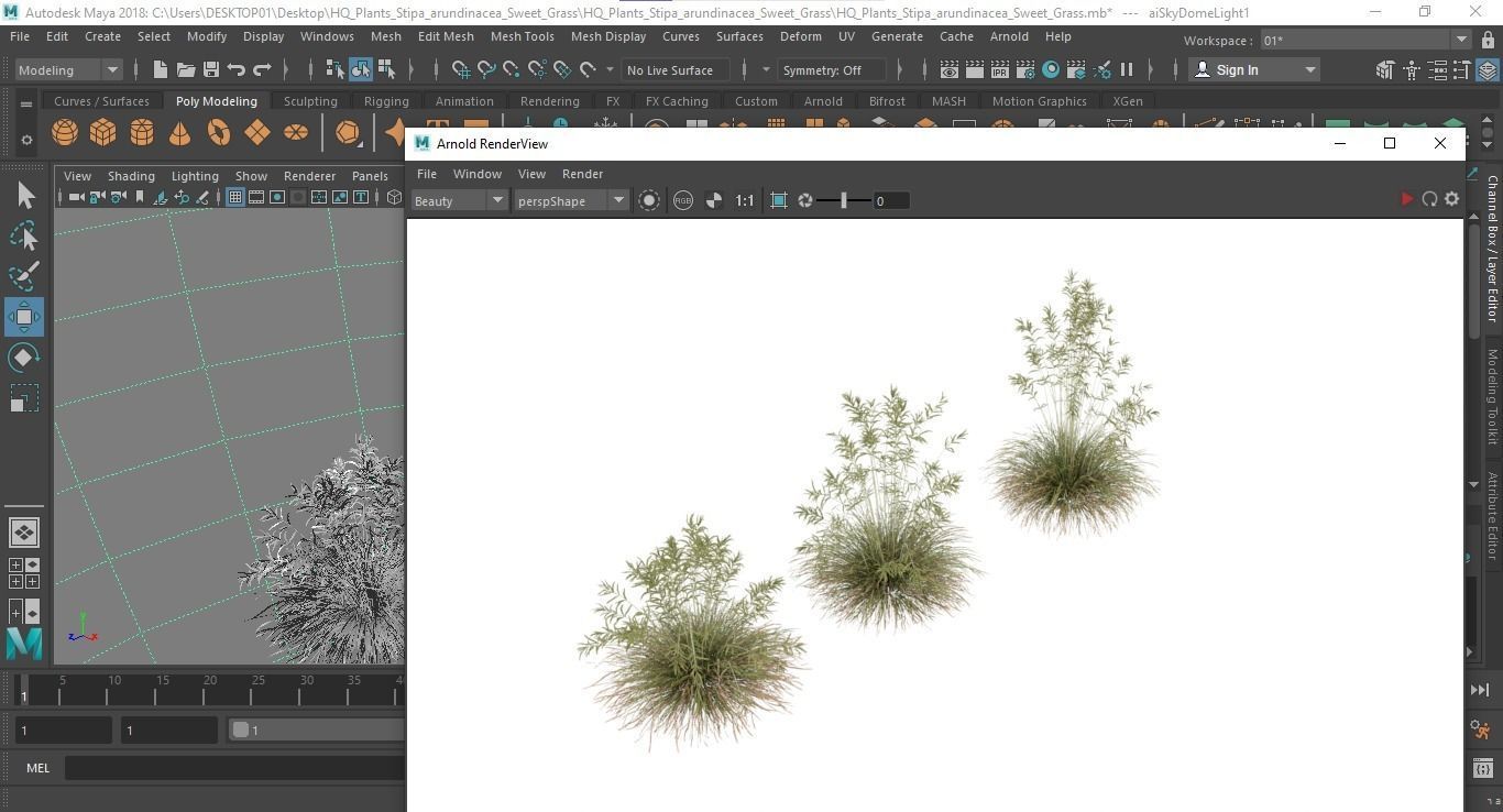 HQ Plants Stipa arundinacea Sweet Grass 3D model_6