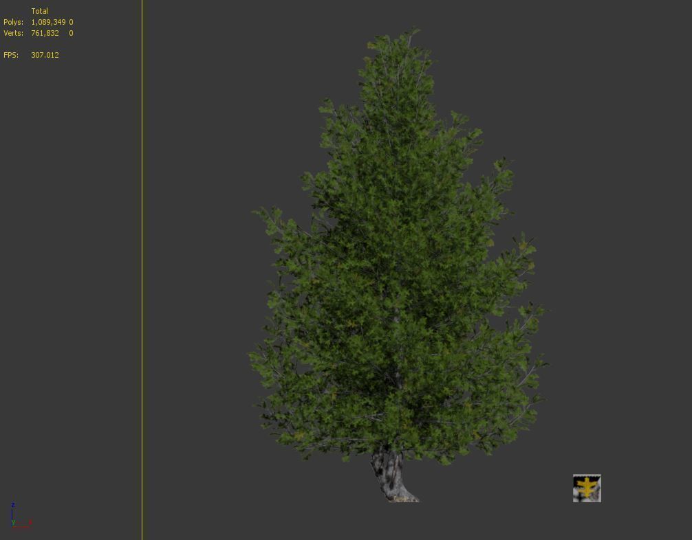 Pine oak tree 3D model_8