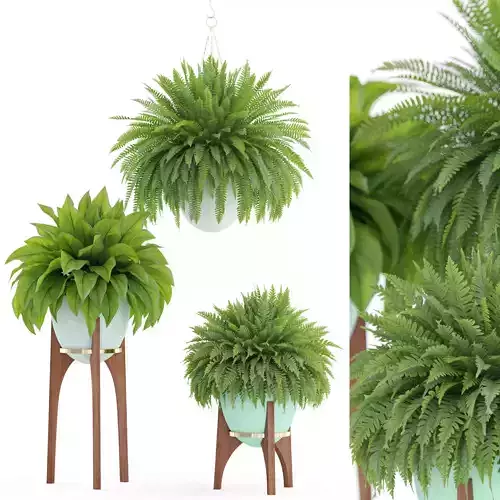 Plants collection 917 Retro Print Revival 3D model
