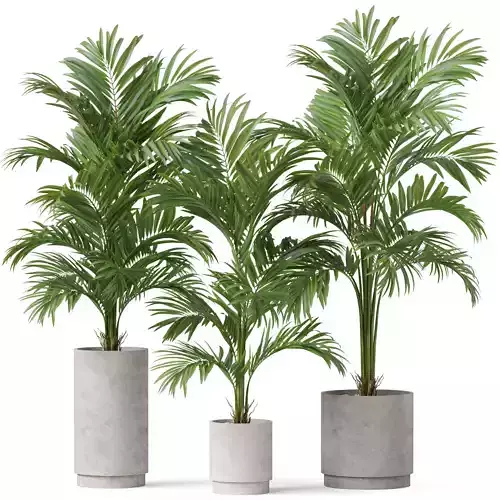 Plants collection 918 3D model