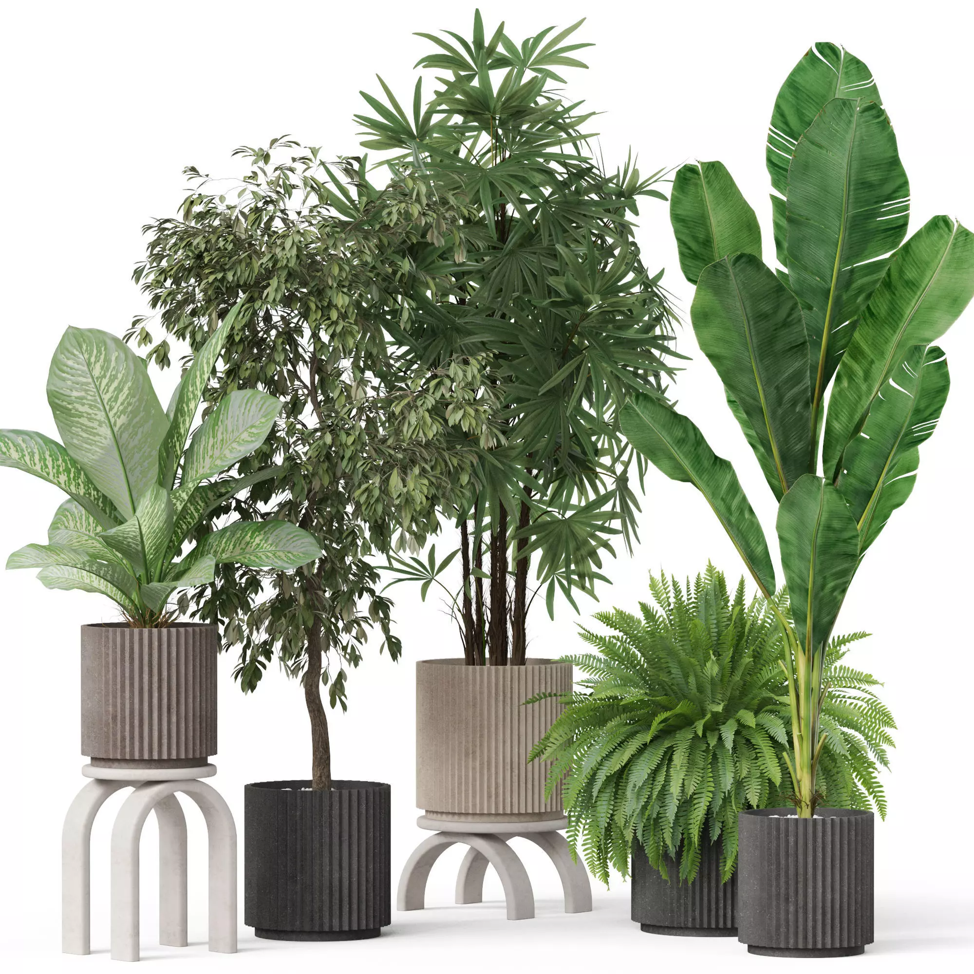 Plants collection 919 3D model