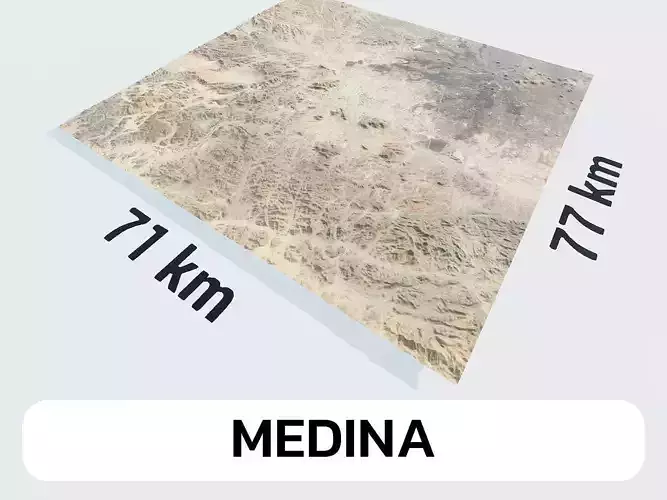Medina Saudi Arabia City Landscape 3D Model