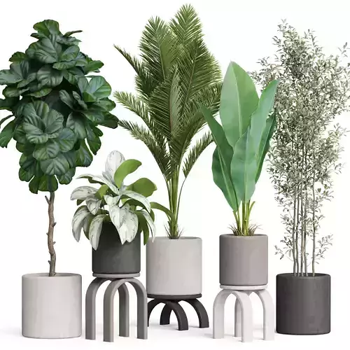 Plants collection 920 3D model