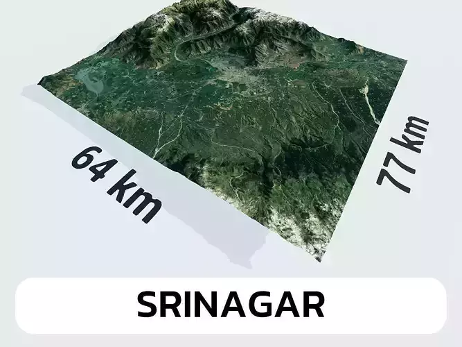 Srinagar India City Landscape 3D Model 3D model