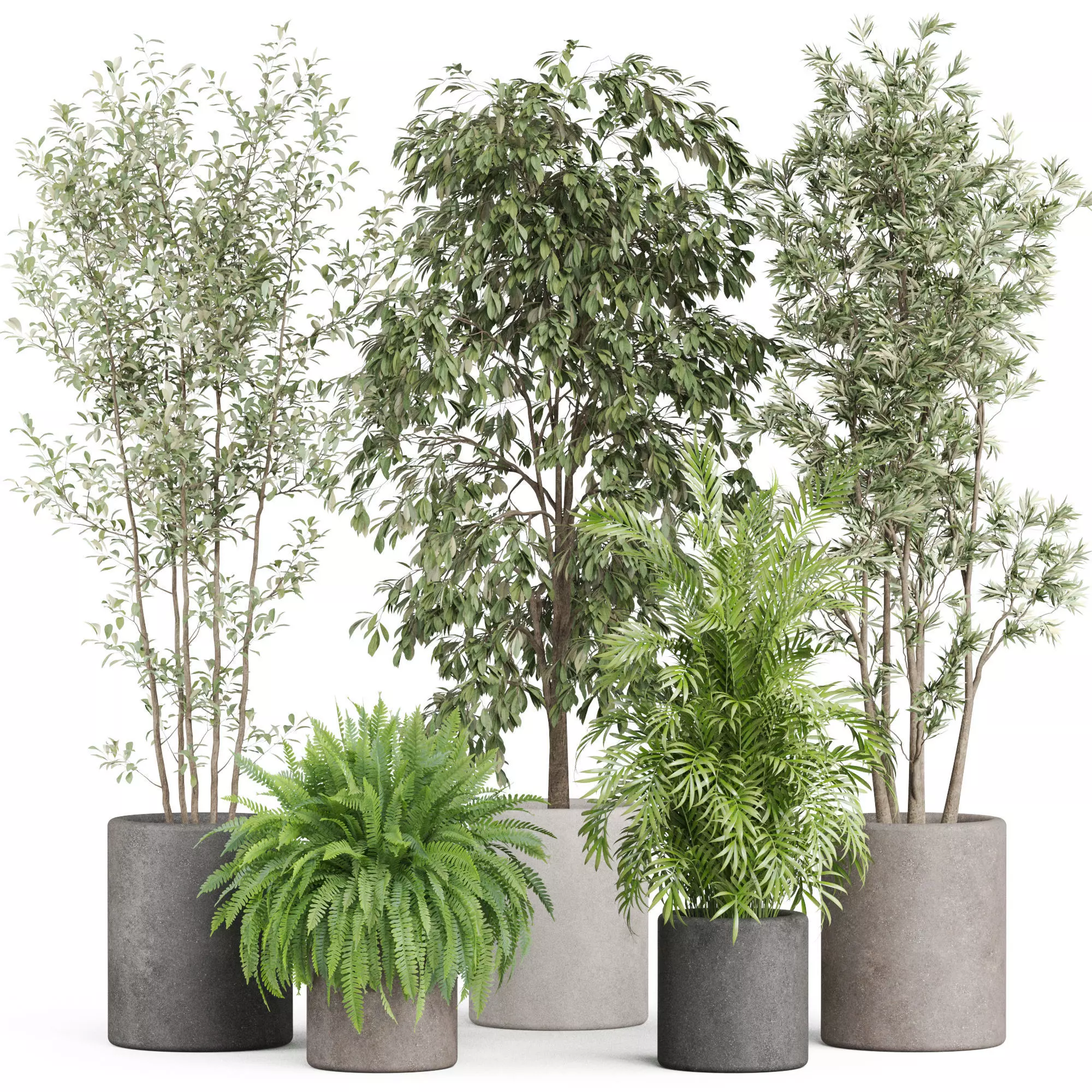 Plants collection 922 3D model