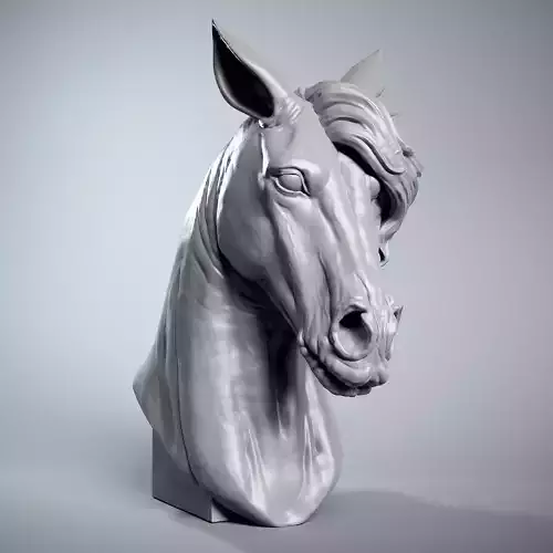Horse Head Portrait