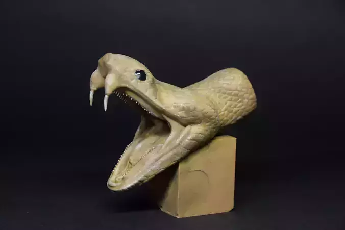 snake 3D print model head