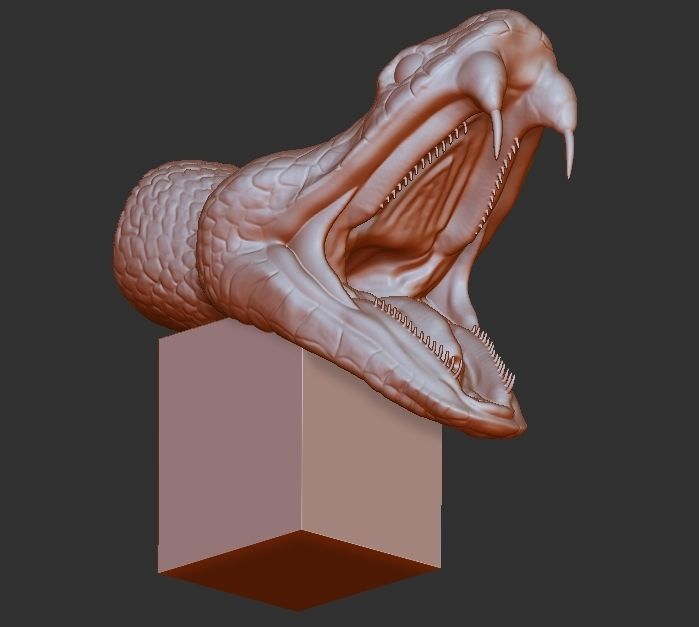 snake 3D print model head 3D print model_4