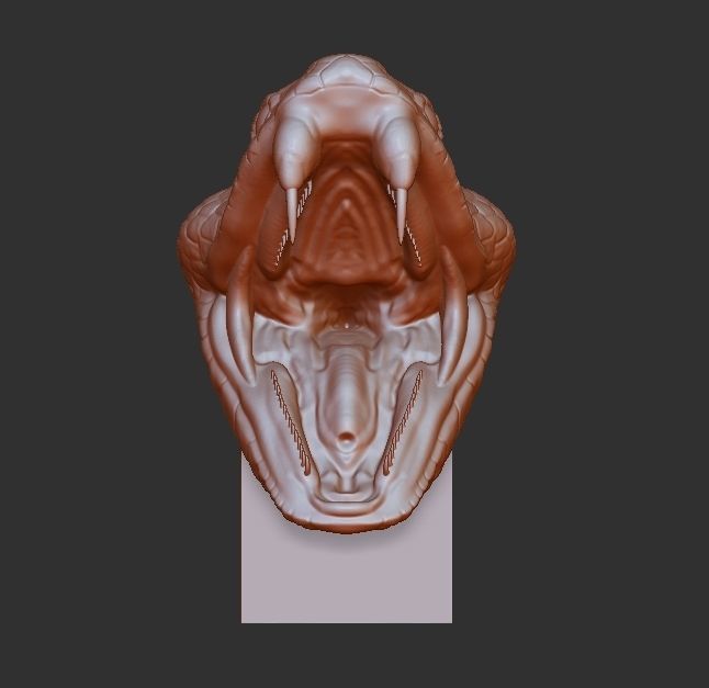 snake 3D print model head 3D print model_1