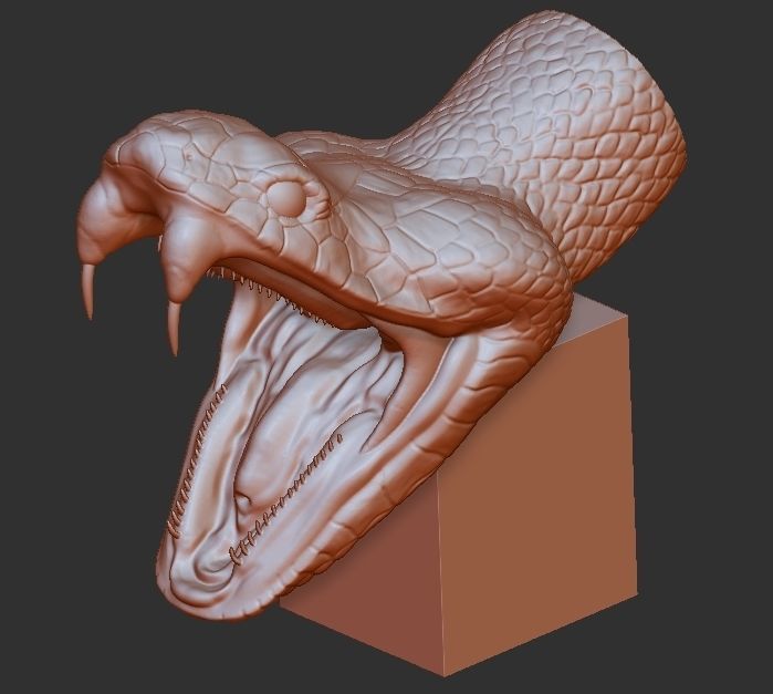 snake 3D print model head 3D print model_3