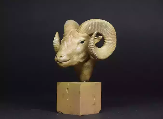 Big Horn Sheep 3D print model