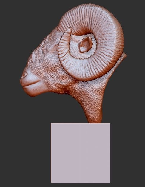 Big Horn Sheep 3D print model 3D print model_2