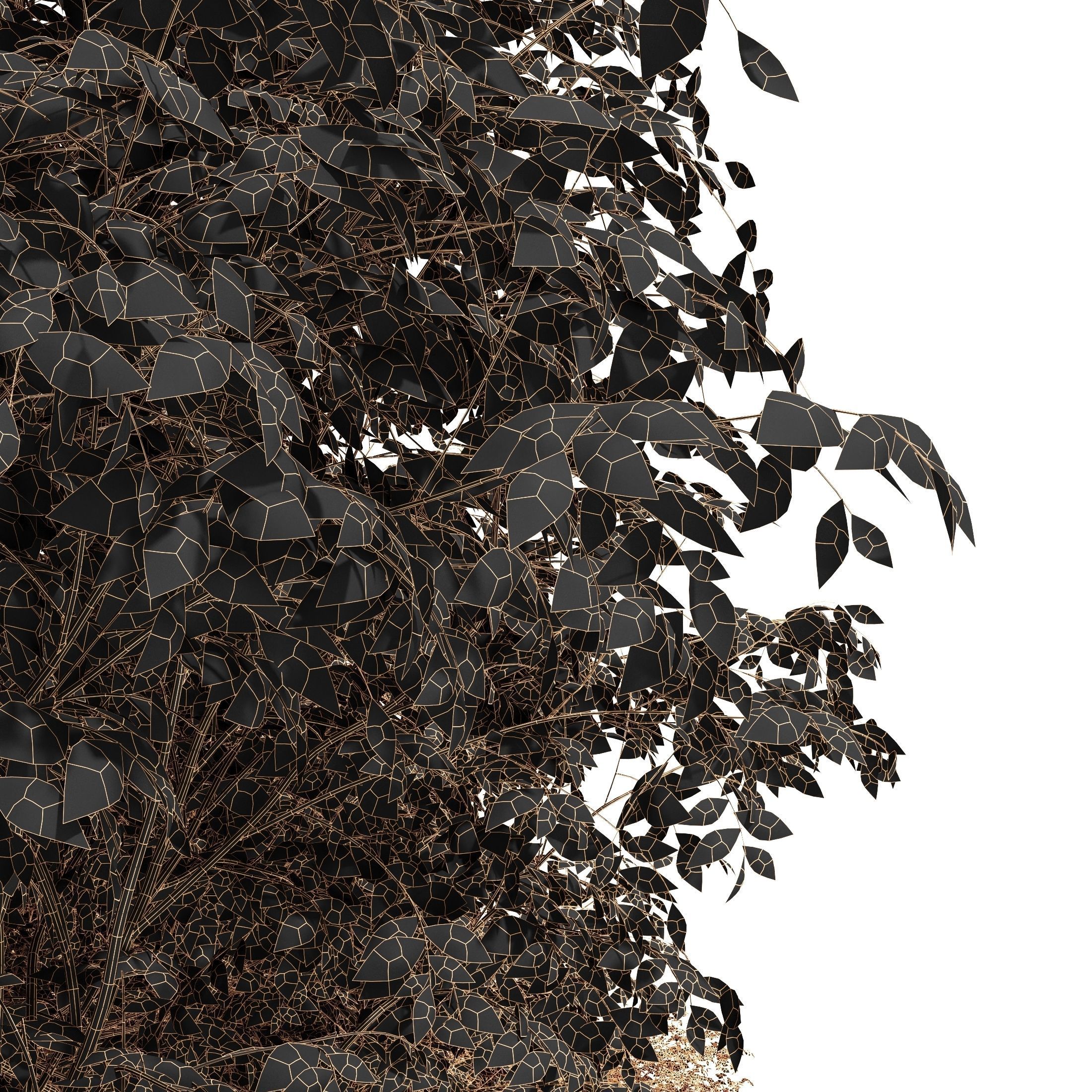 New Plant Real Tree Acer Saccharinum Ulmus changii Fall 3D model_6