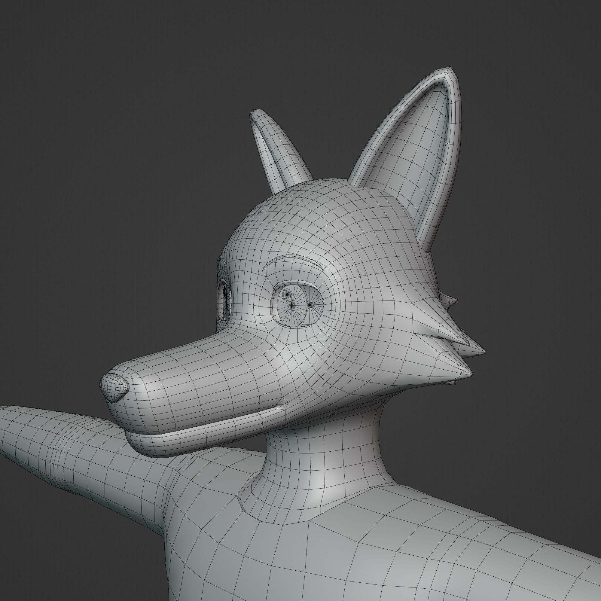 General Furry Wolf Male No2 OC 3D model_9