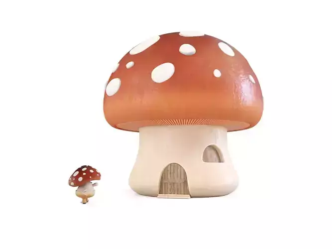 fly agaric man and his house
