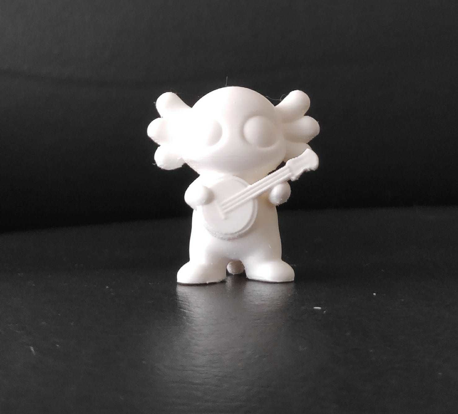 Axolotl Banjo 3D print model_13