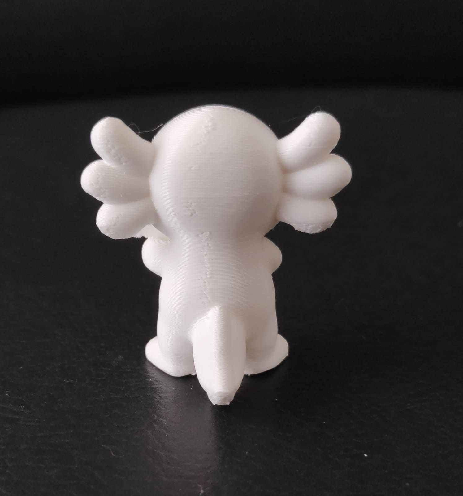 Axolotl Banjo 3D print model_8