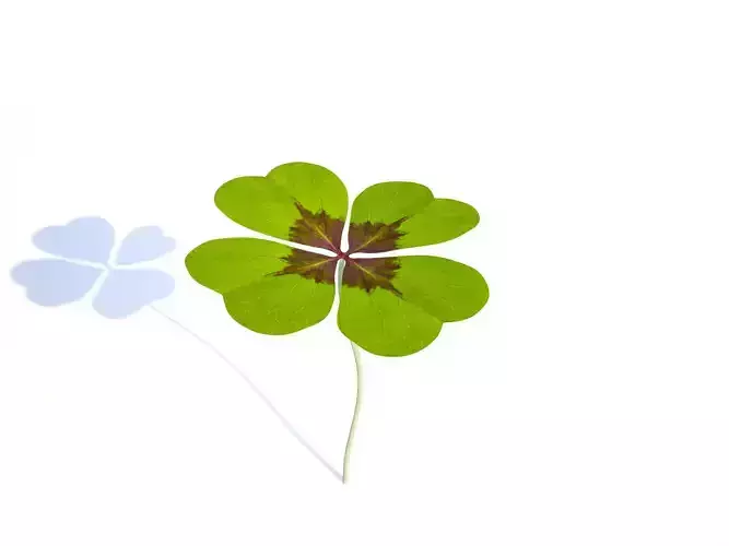 shamrock four leaf clover 3D model