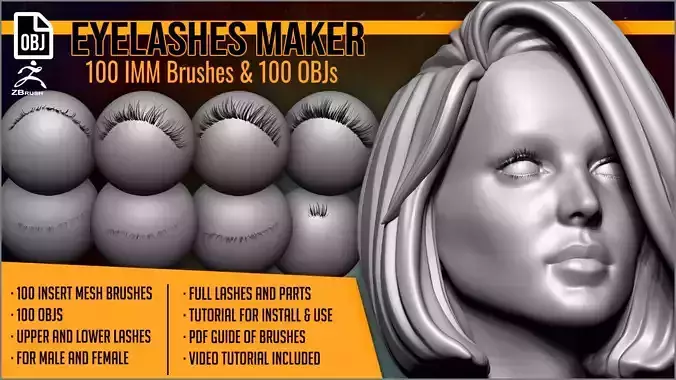 Eyelashes Maker 100 ZBrush IM brushes and 100 OBJs 3D model
