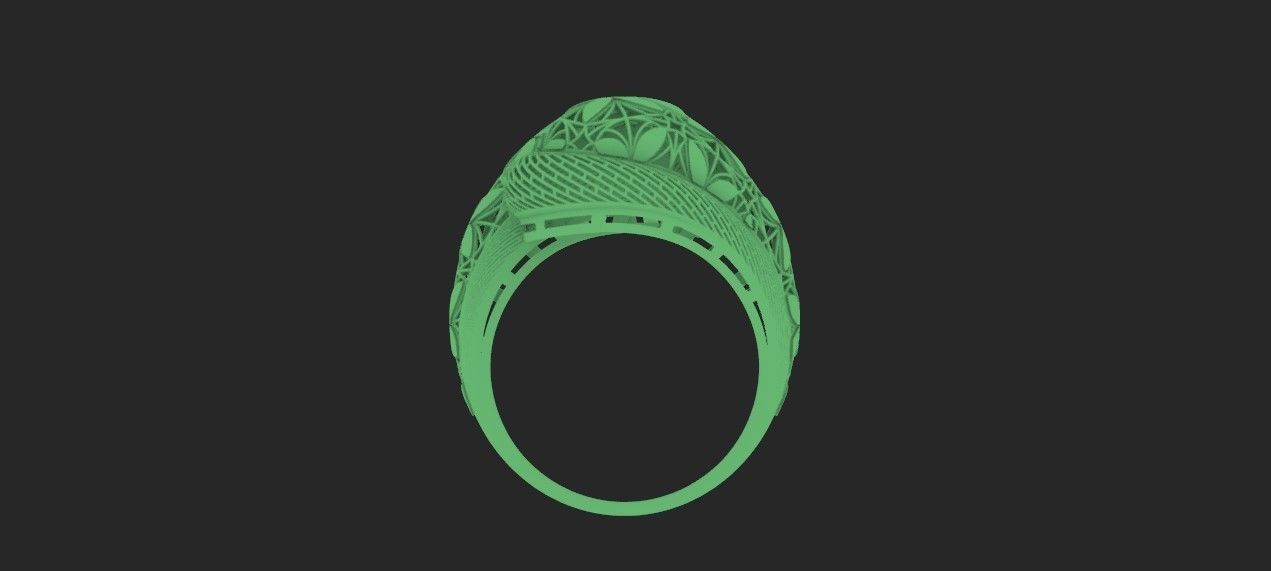 ring fusion 3D print model_3