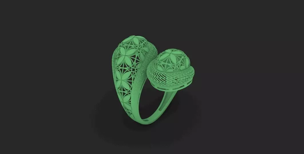 ring fusion 3D print model_0