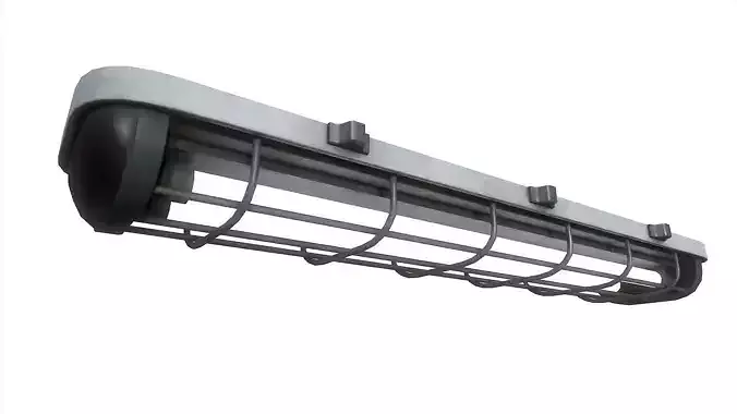 Fluorescent Lamp With Cage