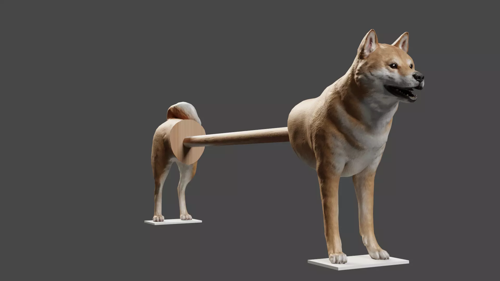 Shiba Inu Paper Towel Holder 3D print model