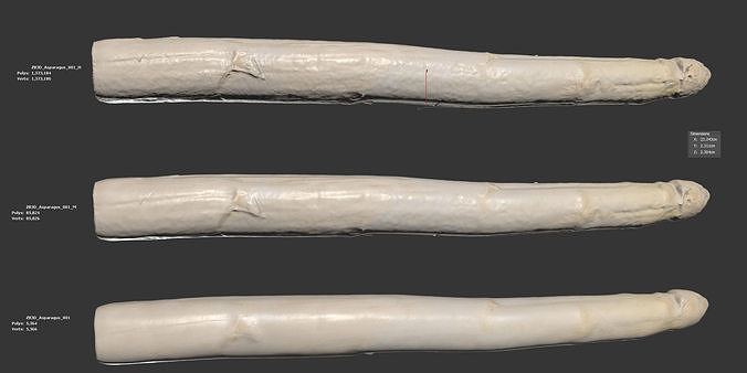 Asparagus 3D model 6