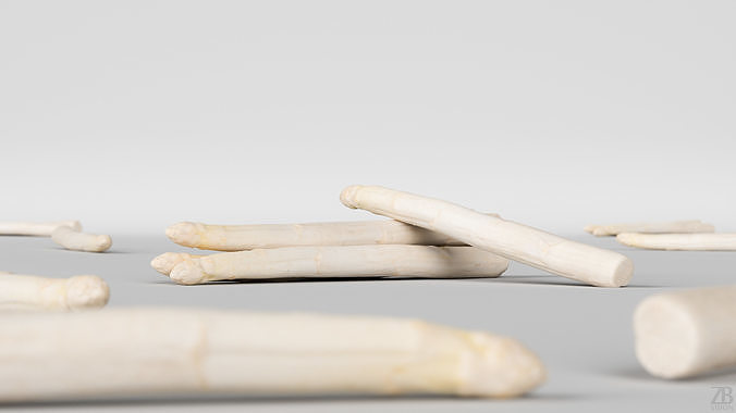 Asparagus 3D model 2