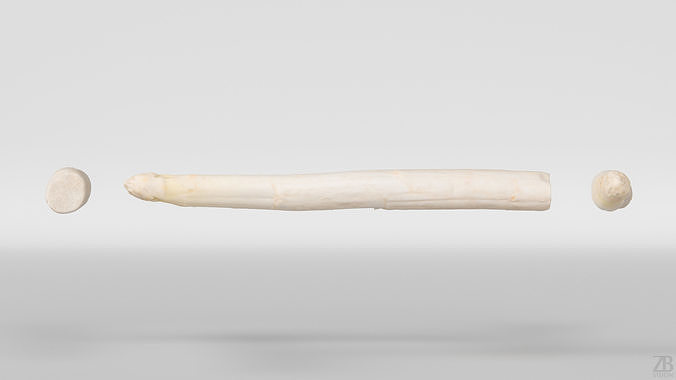 Asparagus 3D model 5