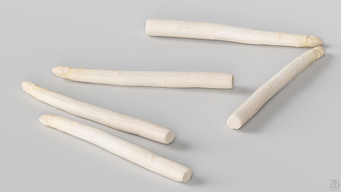 Asparagus 3D model 3