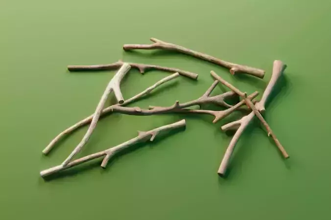 Sticks Free 3D model