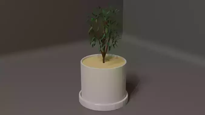 Potted Plant 3D model