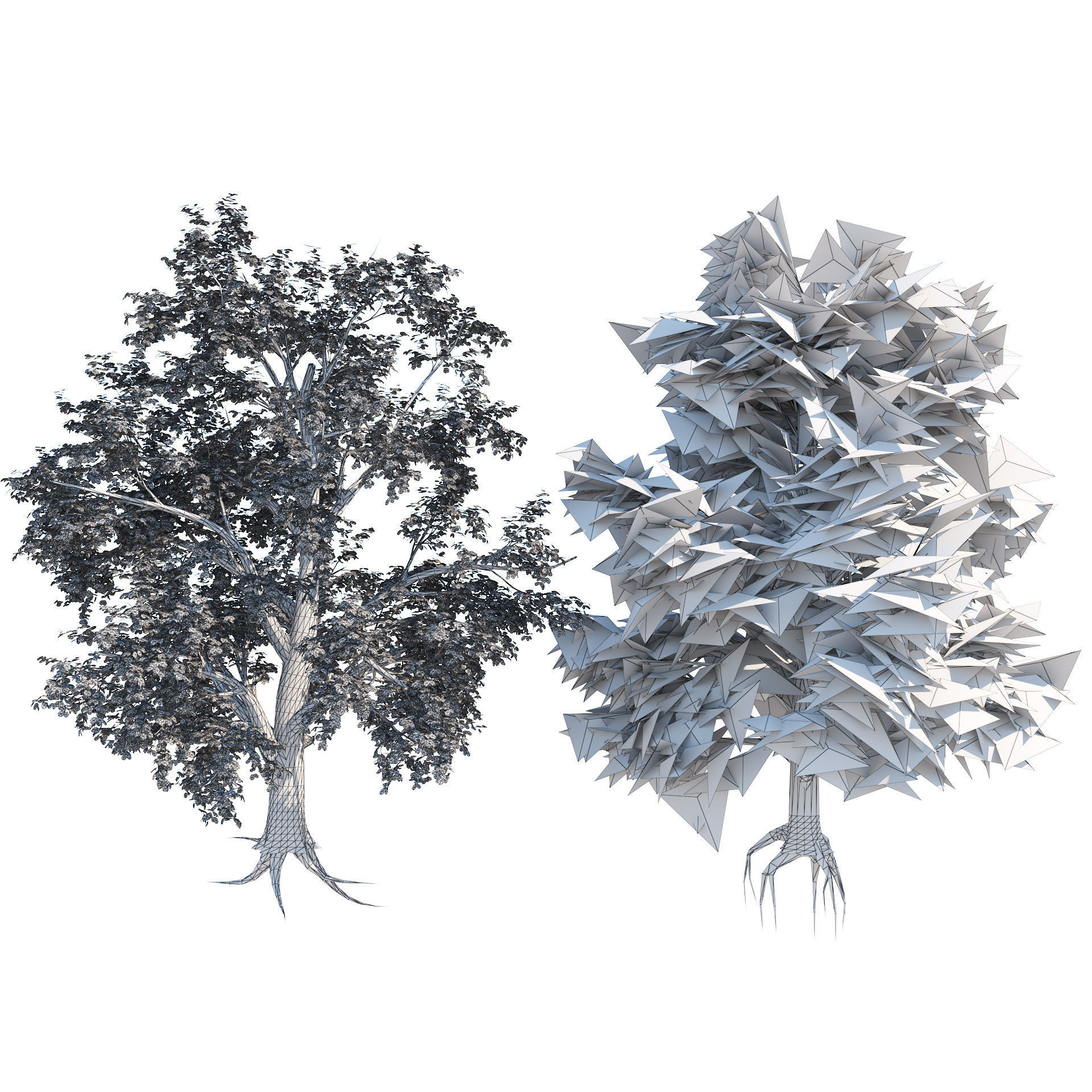 High and Low Poly Broadleaf Trees Low-poly 3D model_4