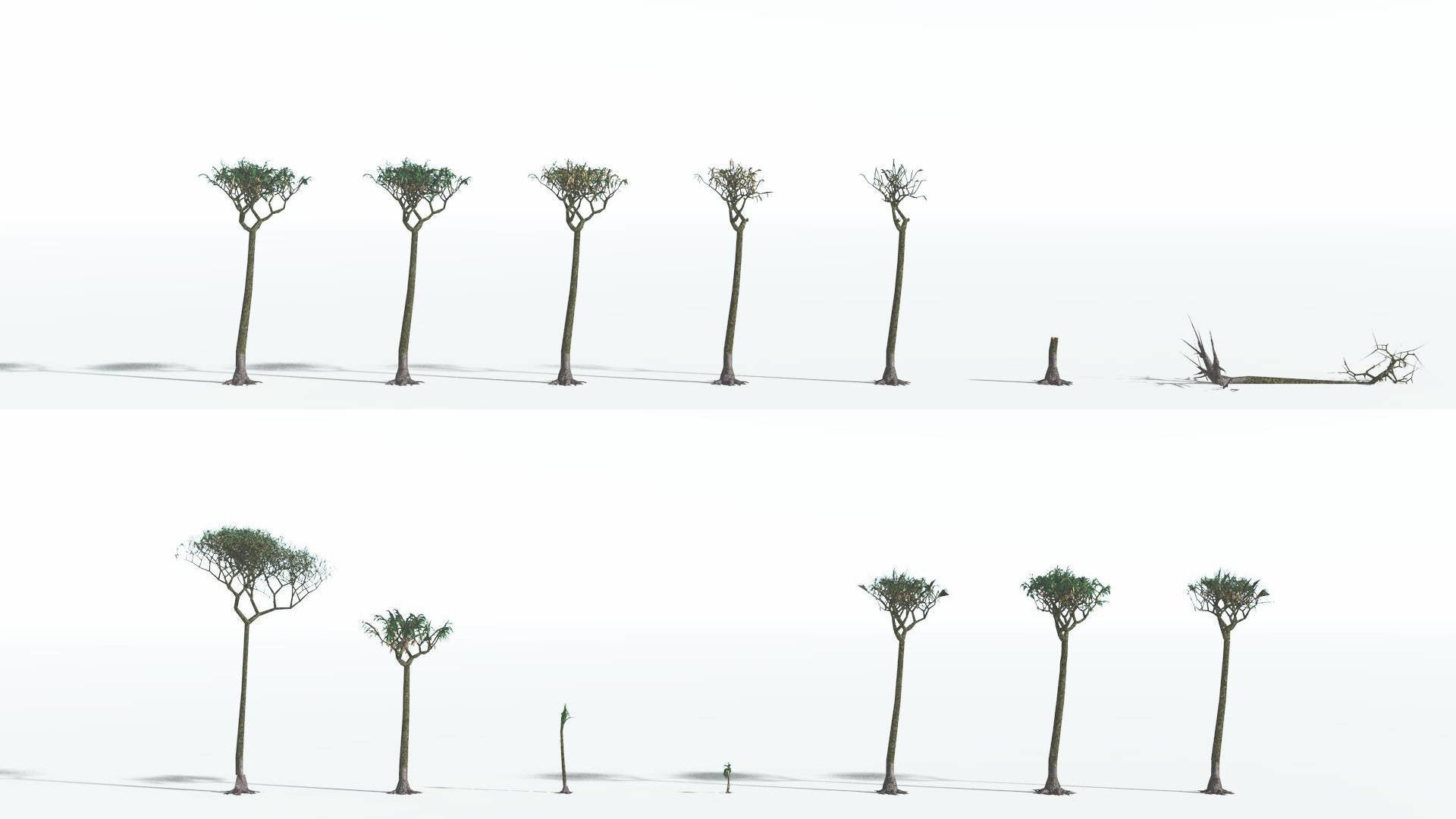 3D model EVERYPlant Lepidodendron Scale Tree LowPoly 4 14 Models VR