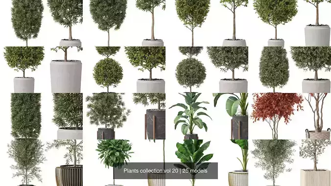 Plants collection vol 20