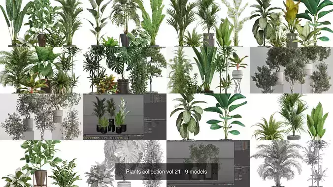 Plants collection vol 21