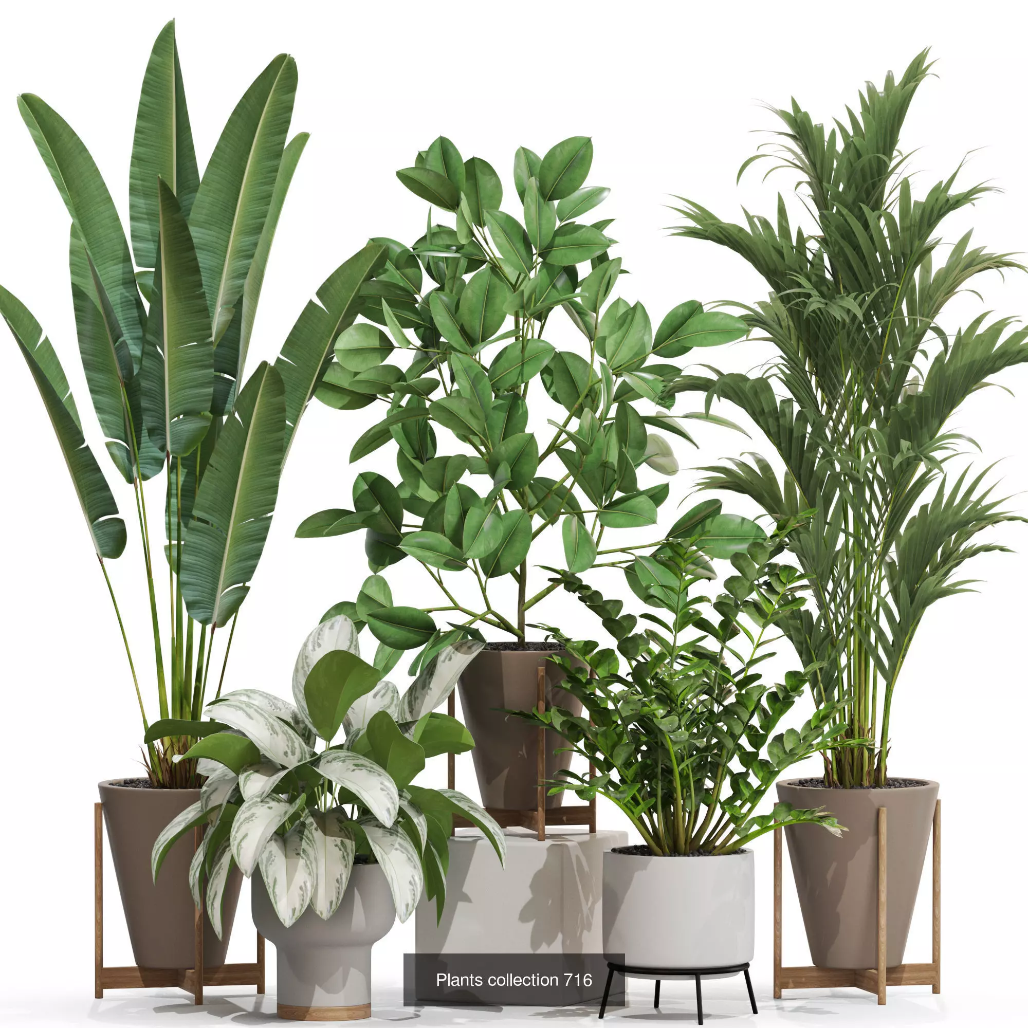 Plants collection vol 21 _2