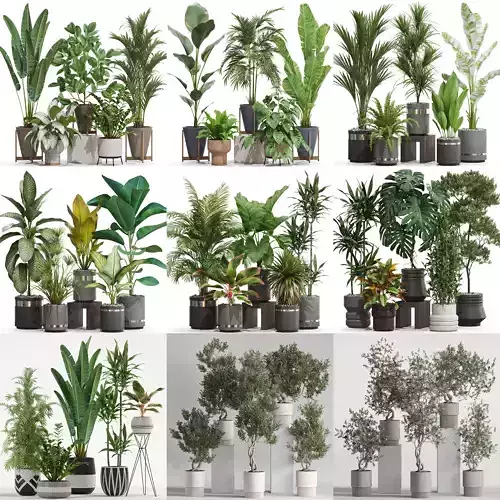 Plants collection vol 21  Plants collection vol 21