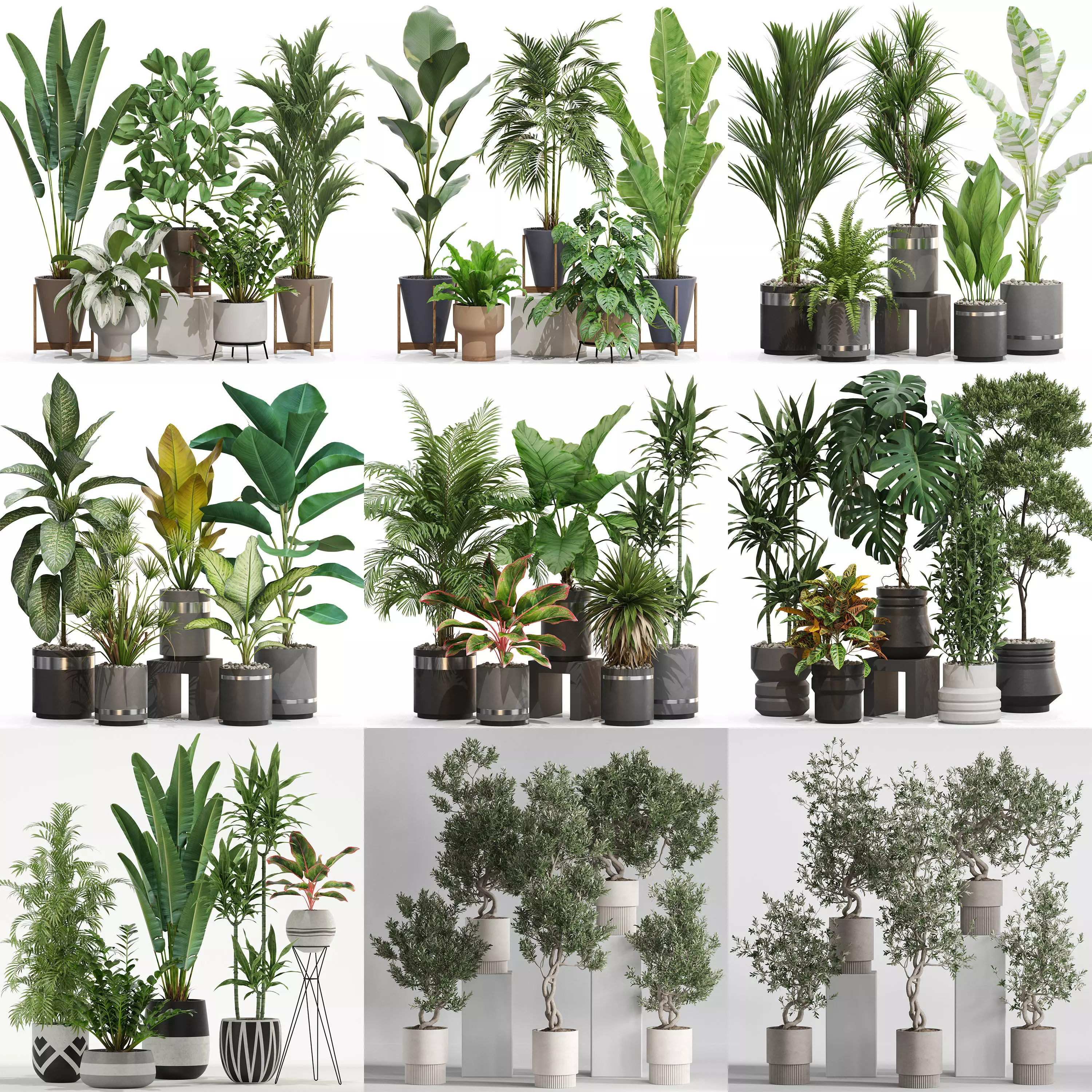 Plants collection vol 21 _0