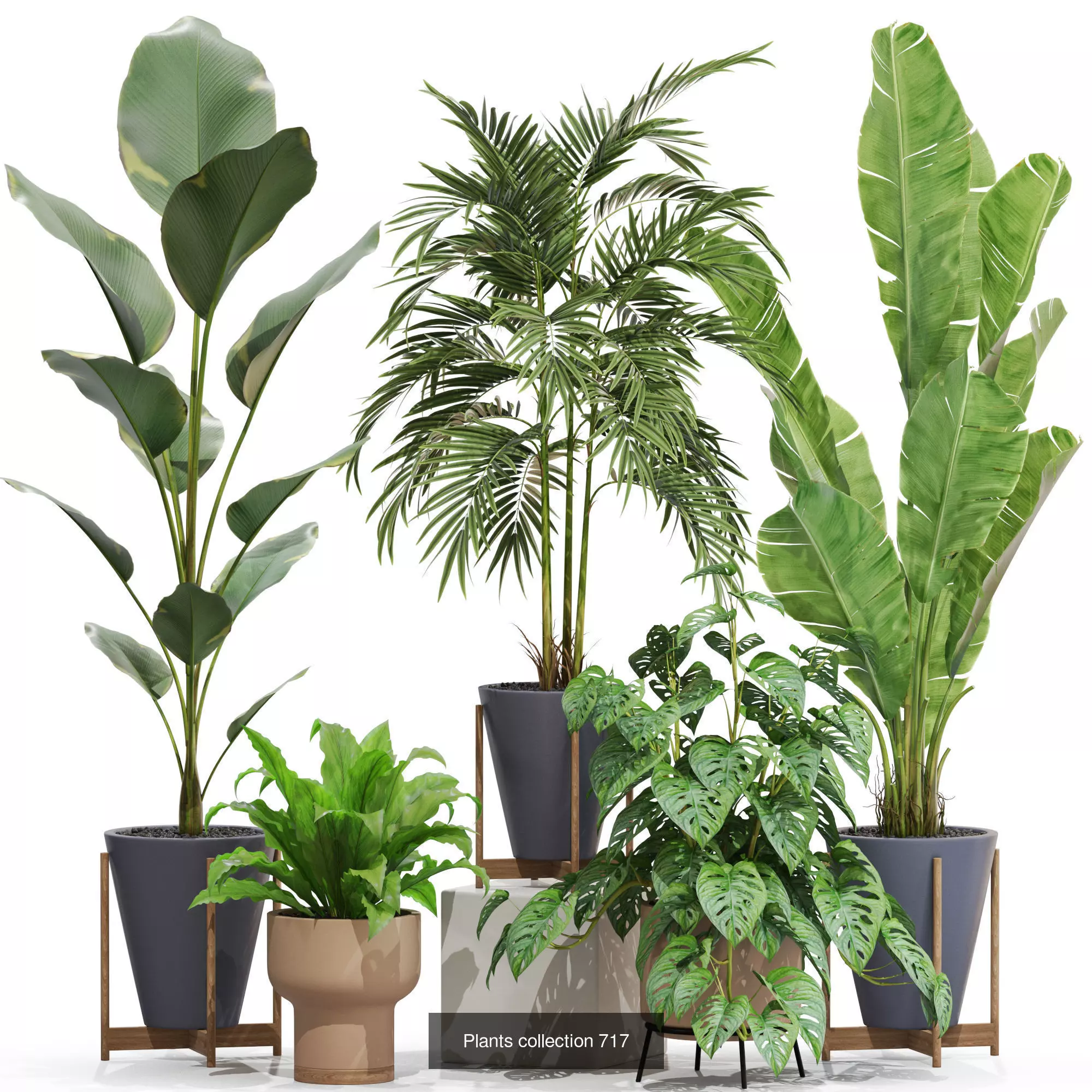 Plants collection vol 21 _3