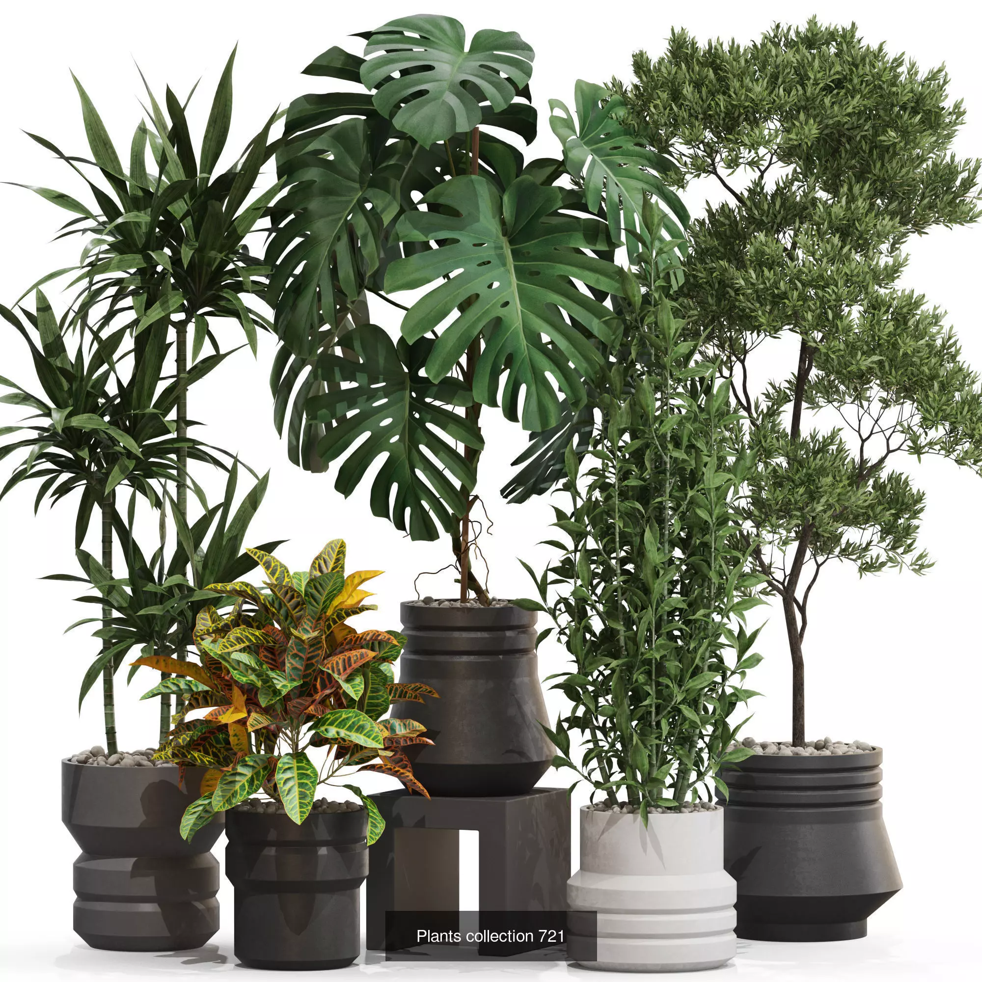 Plants collection vol 21 _7