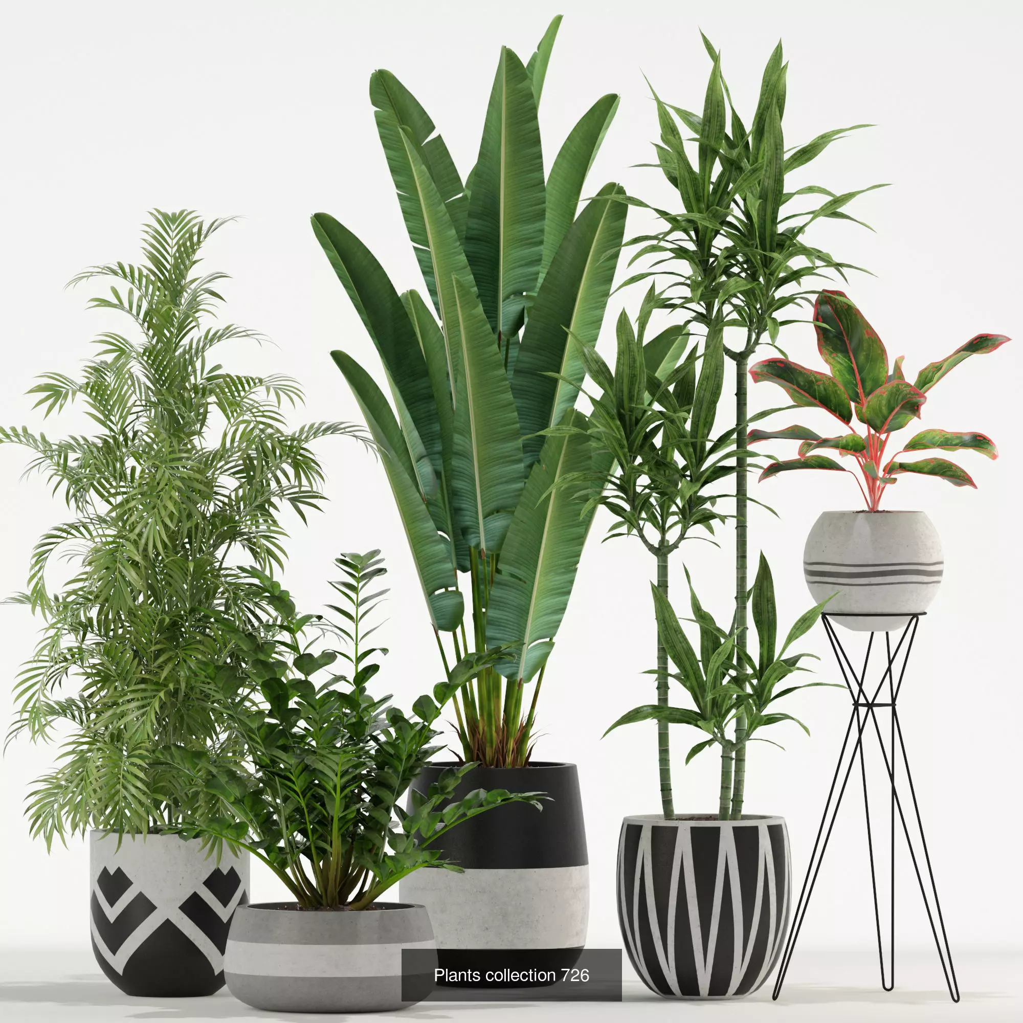 Plants collection vol 21 _8