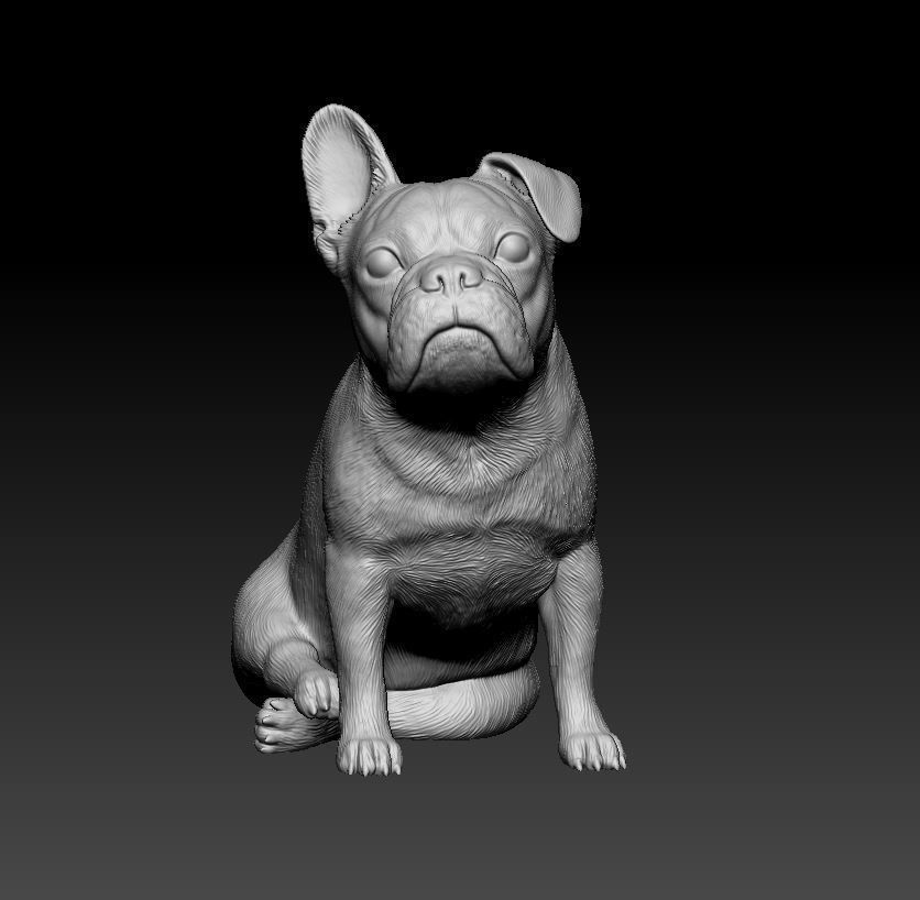 French bulldog 10 3D print model_7